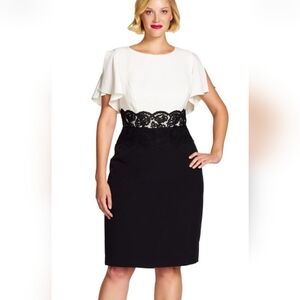 Adrianna Papell Flutter Sleeve Lace waist Sheath Dress, Ivory/Black - Size 16w